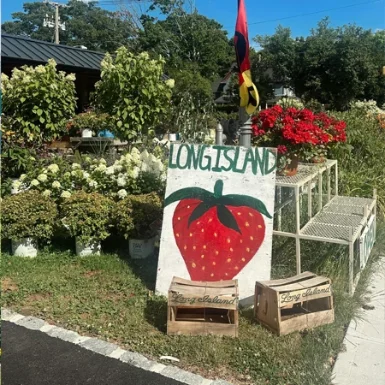 Long Island Business Brokers